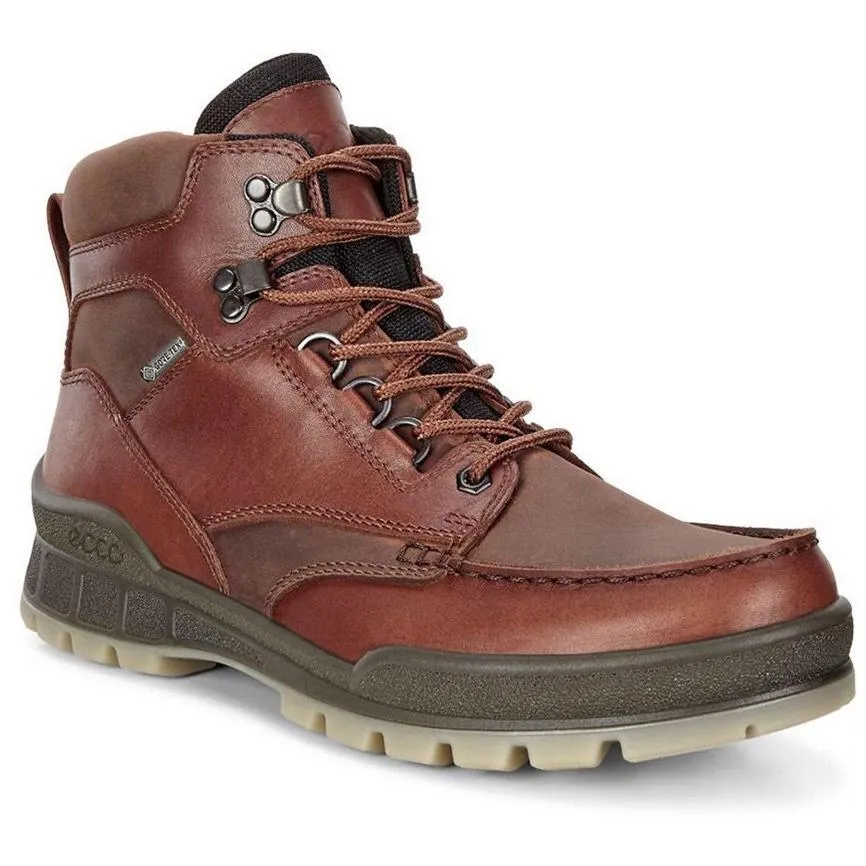 Ecco Track 25 Men’s Bison Goretex  Boot 831704